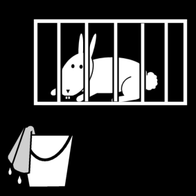 rabbit clean cage